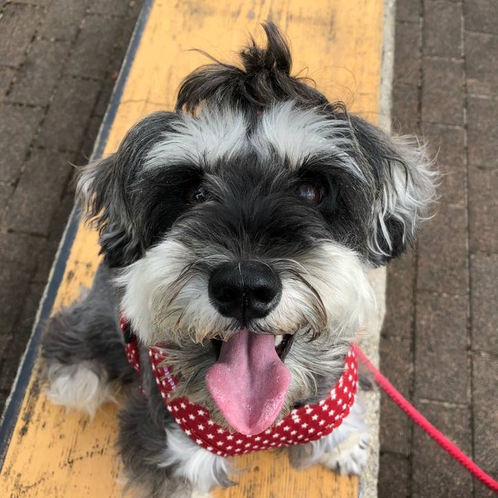 Eedb5121 c0f5 45fc a1da 4f757a814feb 1537597090423