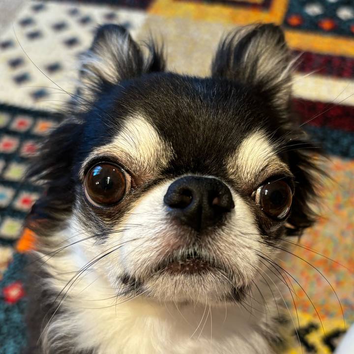 Eedb6dc0 c4bd 4bac a601 ce9cf74de165 1725751936667