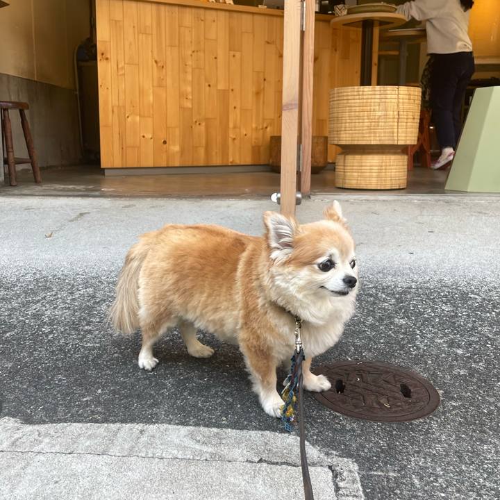 Eedba480 7b47 480e 9f45 0f5ef0ca6446 1761630184029