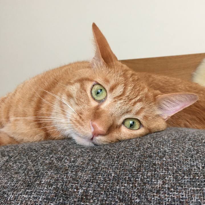 Eedbed7d ba46 416e baee 54c03502dfc4 1595673676853