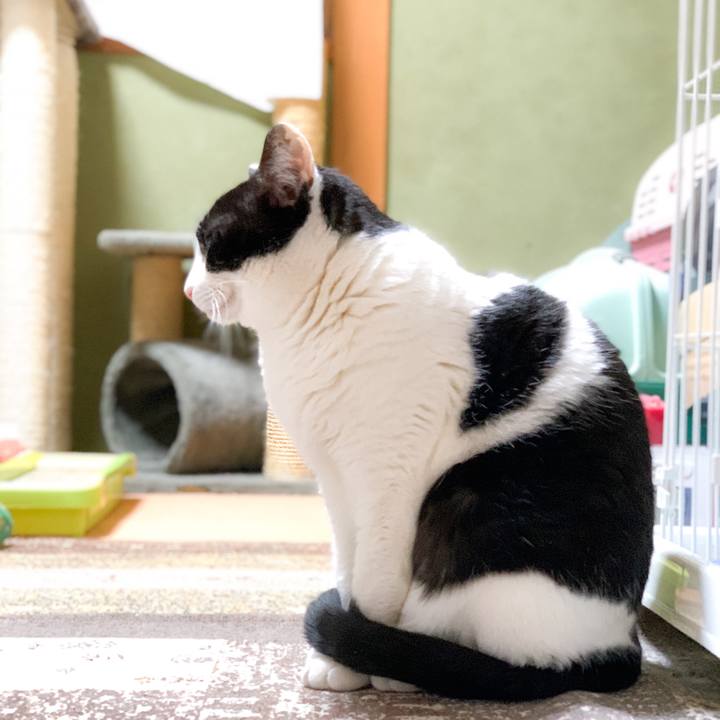 Eedbf4c2 db88 4f00 b53c 19c008c4c850 1591491926484