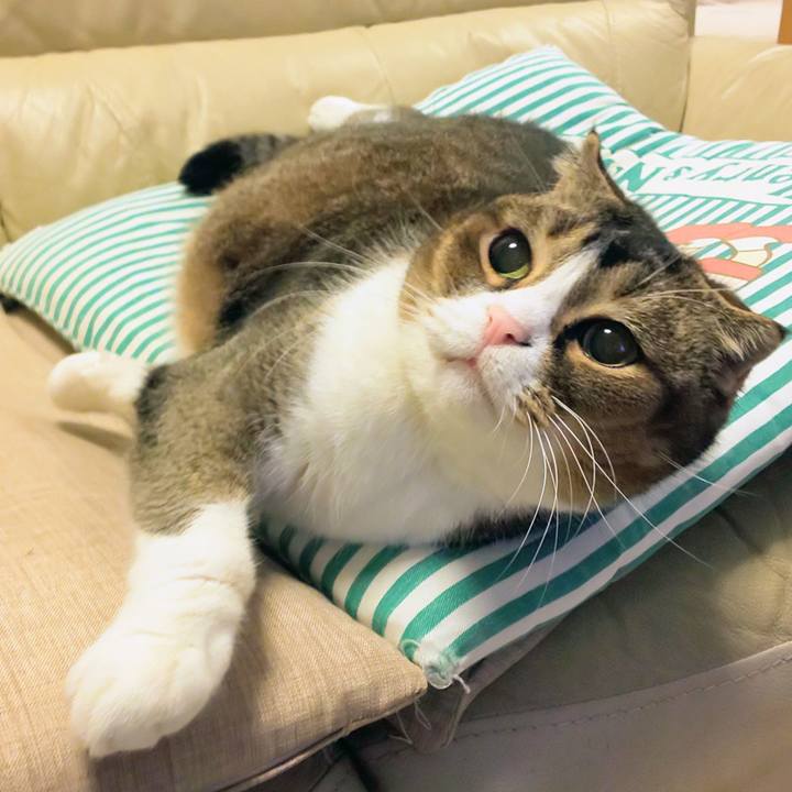 Eedc0350 ab79 4ec2 bb81 6d46479408aa 1762441038057