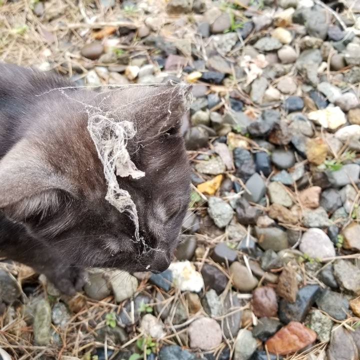 Eedc1a13 2be0 4429 a082 82ca6a604d8a 1590331335528