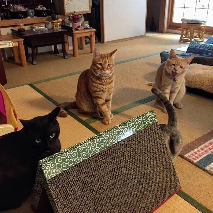 Eedc20c2 0227 4d5d a8cc 1eca9f5e8a6f 1569762498949