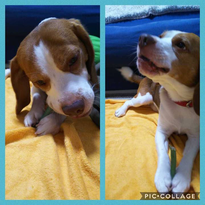 Eedc6624 3f1d 43ed 9121 82df99c367b9 1599308581579