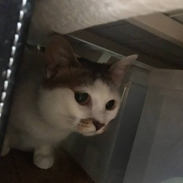 Eedcac65 9c4e 4311 b198 97b0f96fefcb 1525744526362