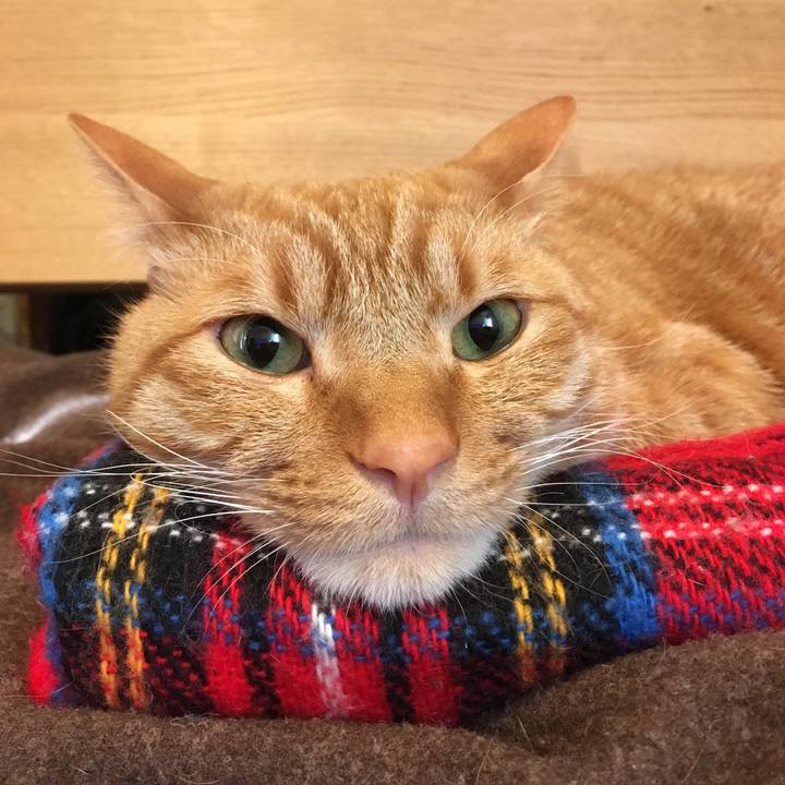 Eedcf764 18d2 4fea 849d 22c4bb3b2bf2 1518824908899