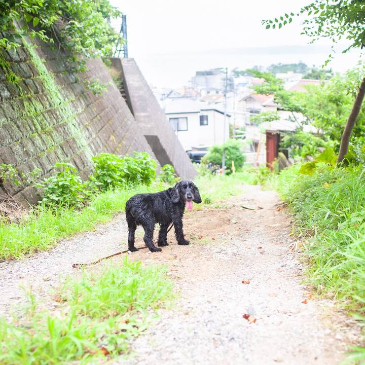 Eedd08a5 41b4 4303 b33e f92059e970f6 1595252942911