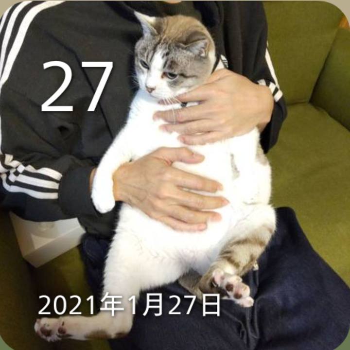 Eedd2023 2df0 4e0c 8283 db76b1726cf3 1769516591139