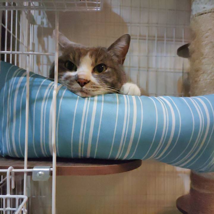 Eedd61f0 b71d 476d 99d9 15f4ba9a7634 1681643760714