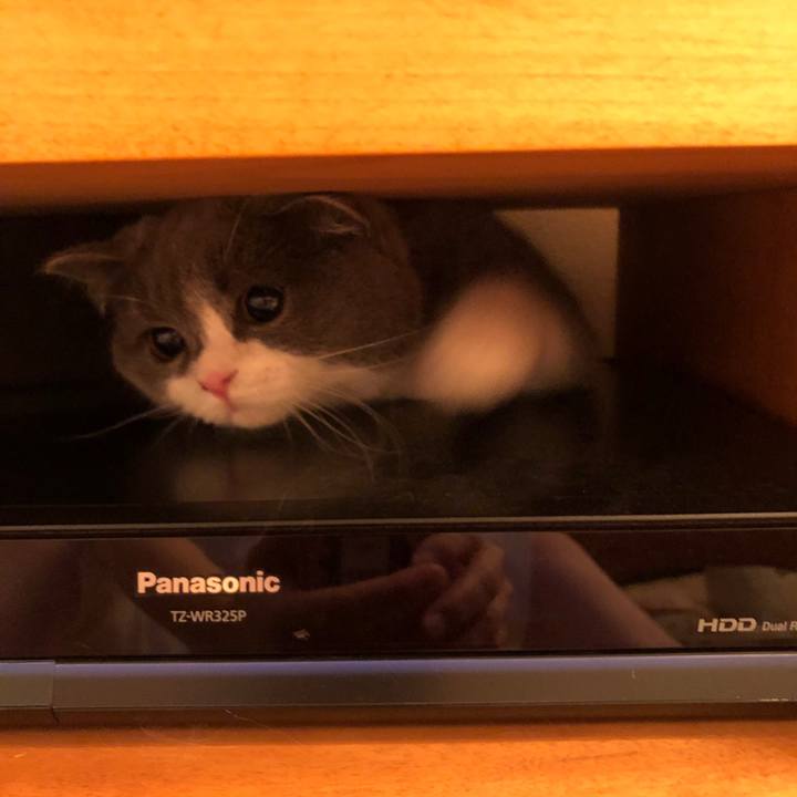 Eedd6894 15eb 4340 a4bf ef50323dfa9b 1524026742412