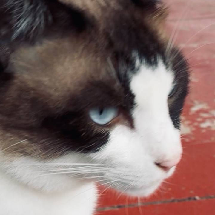 Eedd7843 af75 4ba9 8ba2 bacb2f79e690 1754877549083