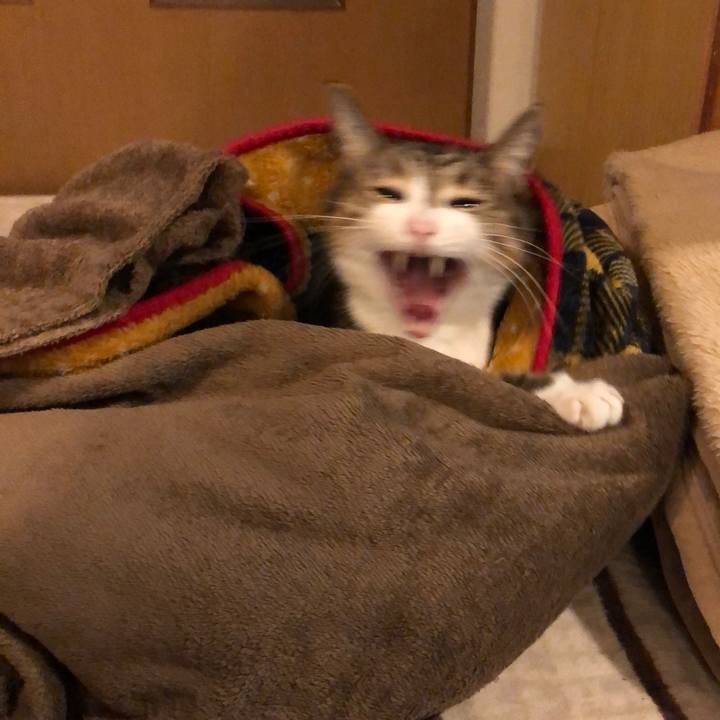 Eeddba84 dbef 4f5e a11d 9708c1cfe85f 1639464017168