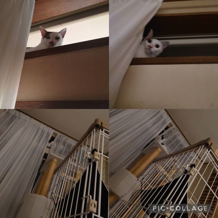 Eedddc4b 86aa 4396 b984 f5510fe838ec 1691379198622