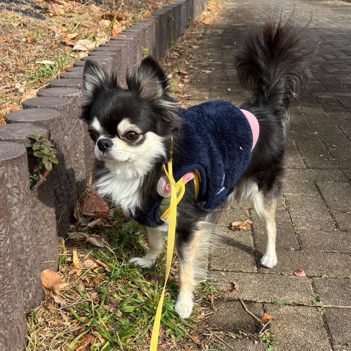 Eedde1ad ad15 42fb 856a 4e49c0ac2981 1737820705458