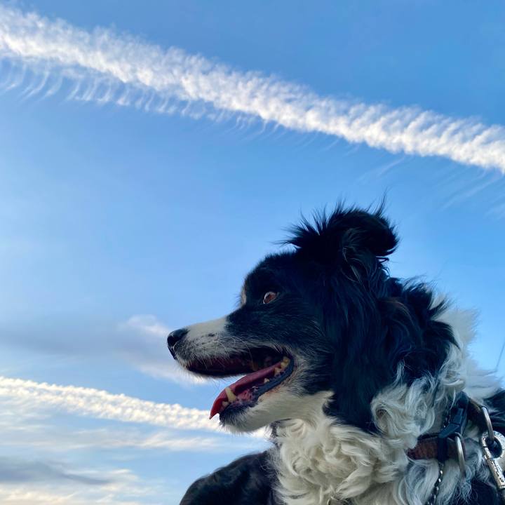 Eedde992 c0d8 448d ac1e ac5b8724bb74 1714643335641