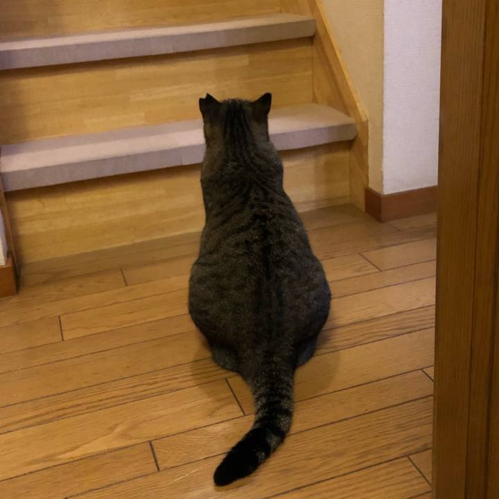 Eeddec4e 607e 4497 a334 07caa48c6fda 1538299482579