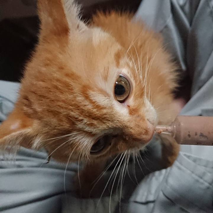 Eede02ce cd4e 4543 baf0 37aea2a336e5 1628765716002