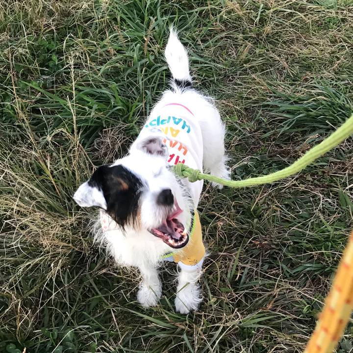 Eede2f97 542c 4fcf a0d0 6f3255b6fdbc 1542183961210