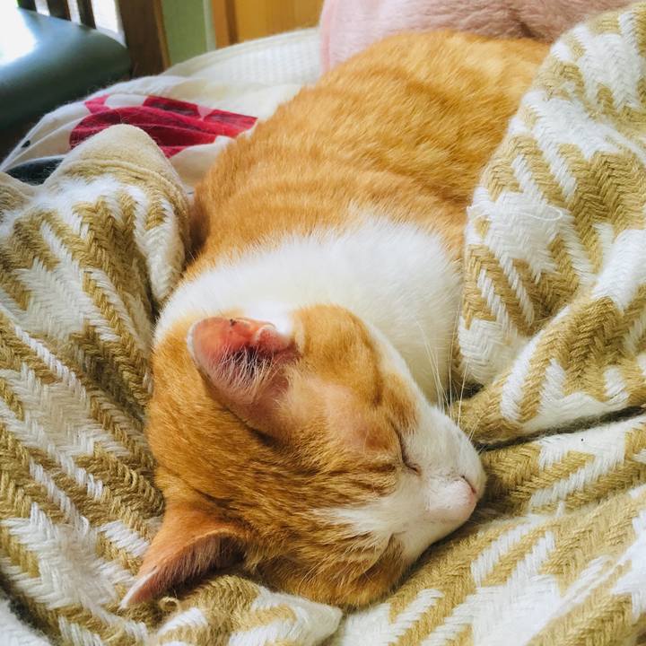 Eede467e 28d4 4199 83e6 2d08f1ef9479 1562819126725