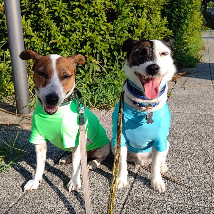 Eede4a87 ea38 487d 91e0 645e7b87537d 1689114116982