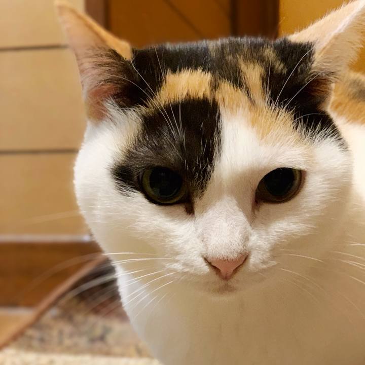 Eede5471 1859 4511 9110 bc3c0ca76033 1543631473213