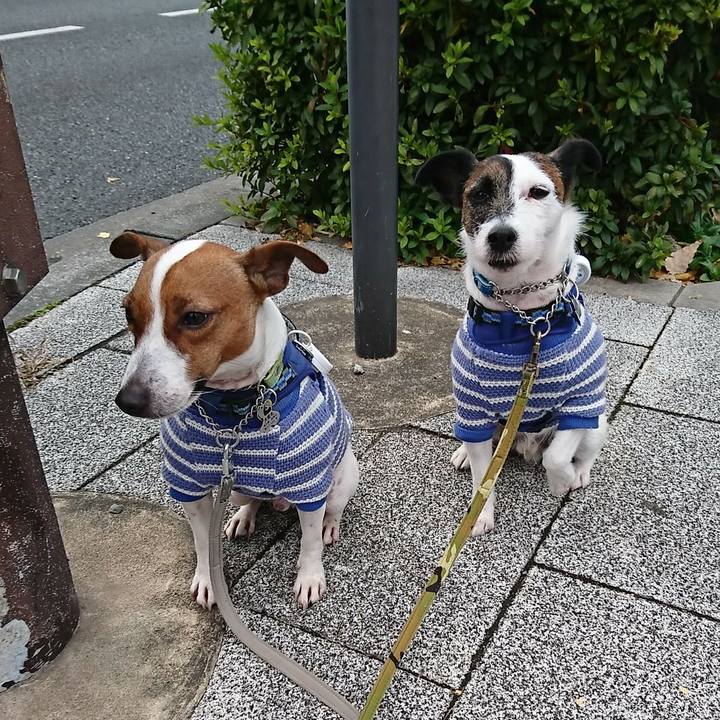 Eede6e22 2b30 46b9 a100 06043192535b 1576880846216