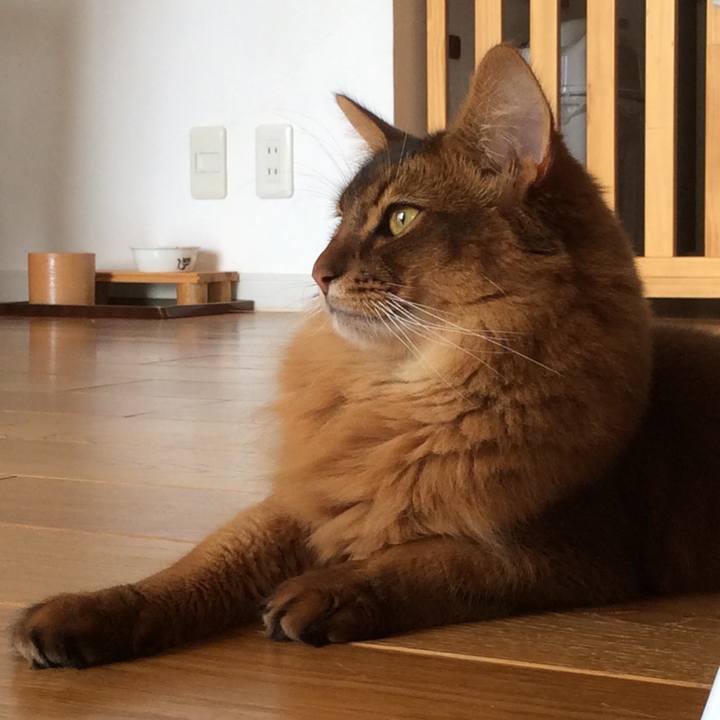 Eede9125 890a 4f6a 98a9 a0265d498e81 1625449792973