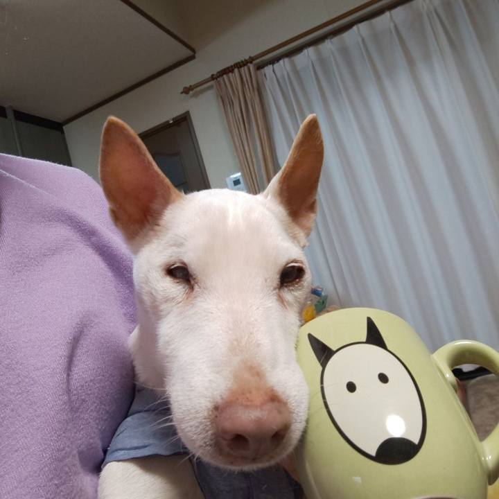 Eedefead 41eb 4a55 abee f3cf8501e50e 1548894349692