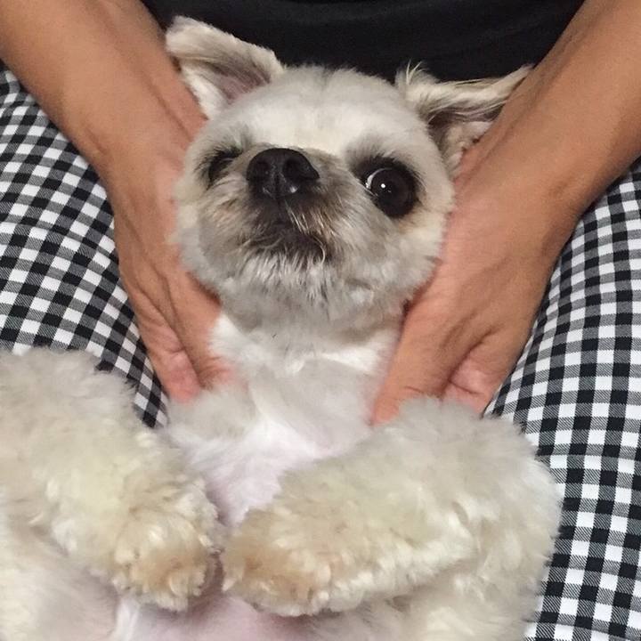 Eedf0ad0 e618 4cbe 9456 82d274c699d5 1565568557644