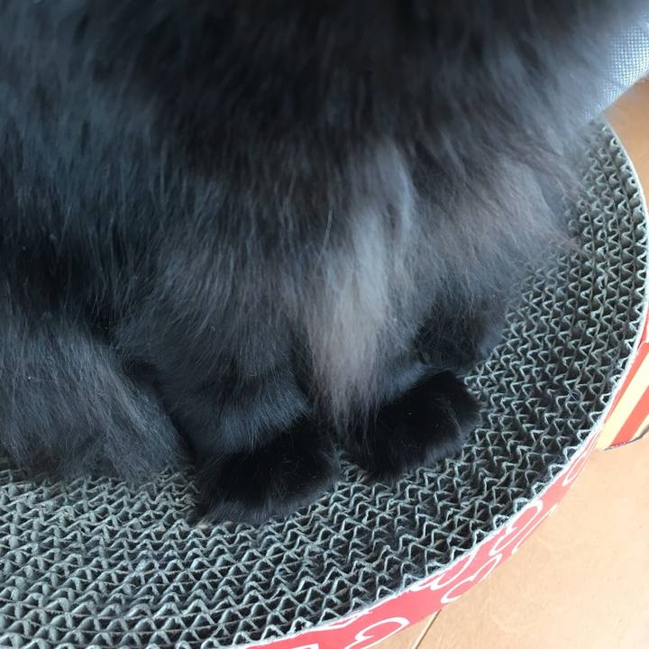 Eedf60e0 5499 409e 8425 48d792f97564 1528964614626