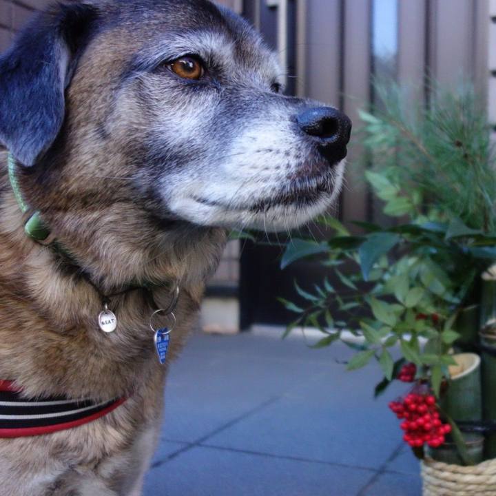 Eedfa372 9677 4302 93b6 030c5962647d 1546480815992