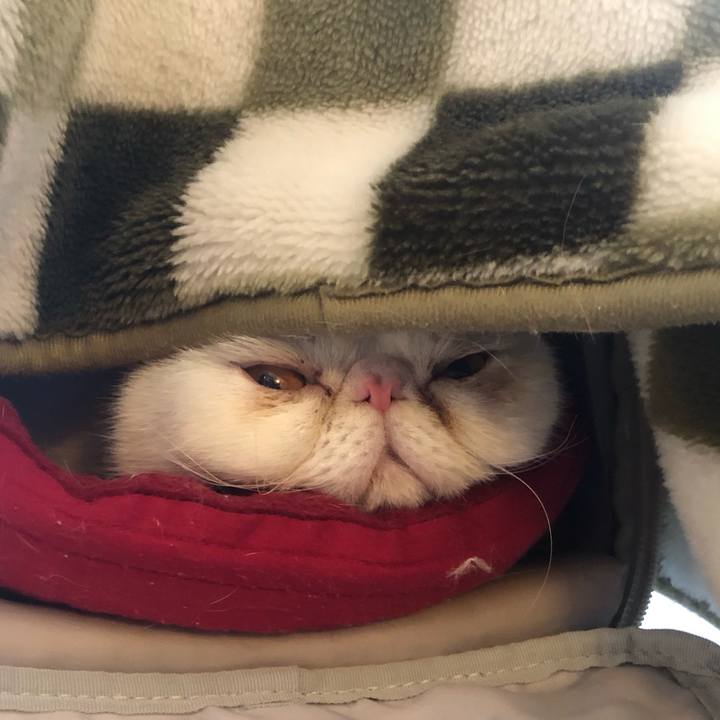 Eedfb62e 0f5f 4560 8d50 8a659a597f2f 1640944673779