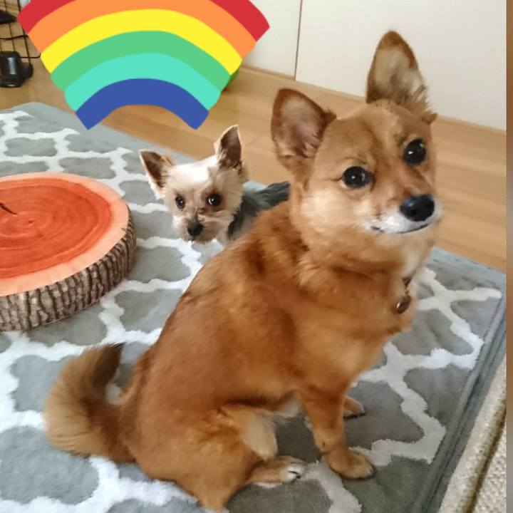 Eedfc429 ef35 4890 a751 8bd579ac3aef 1552728677991