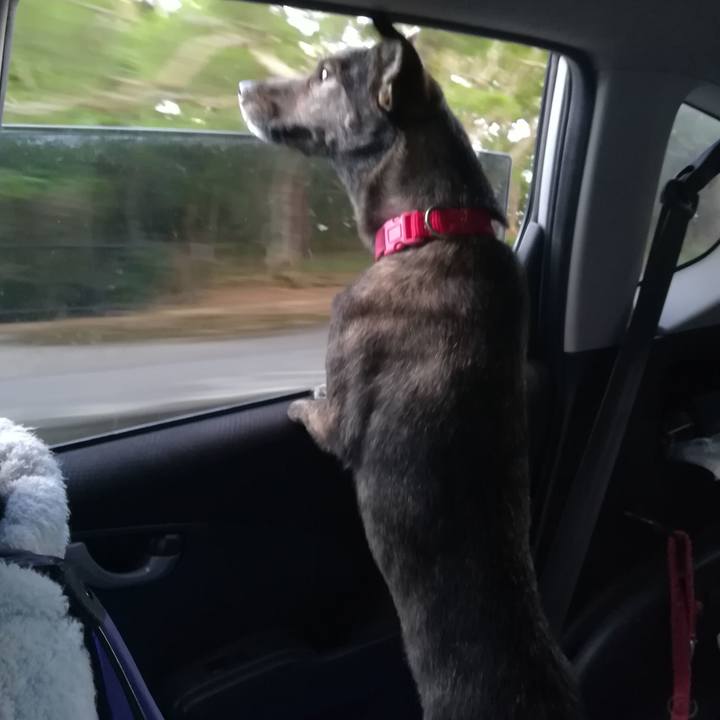 Eedfd184 ebbb 4d05 af97 fa57a3b63043 1543307640715