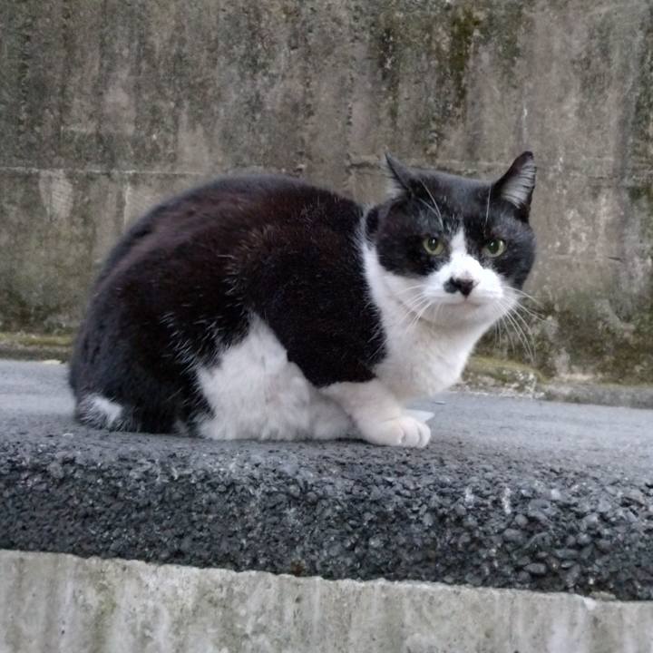 Eedfd2a0 0a3c 4de2 854d 1c74ef7e2970 1703749961987