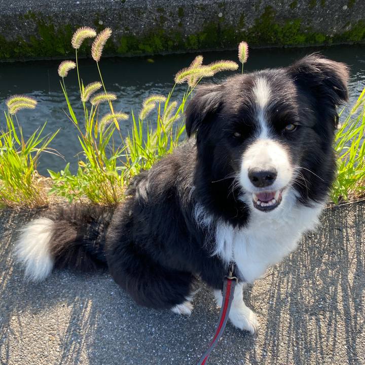 Eedfd4f9 213d 4e2c 84dc 9ec6b664a9e8 1594942197569