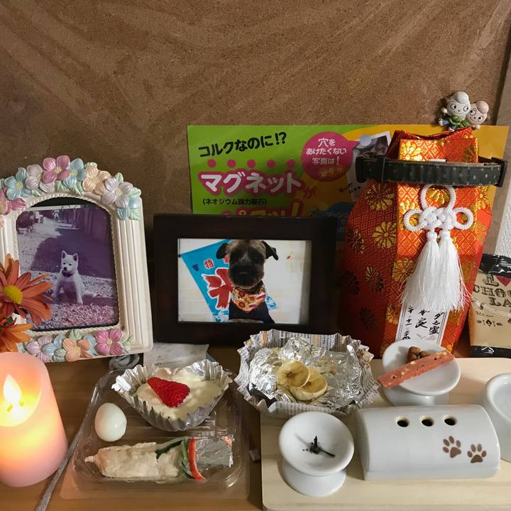 Eedff3de ee0e 40da 98c0 3929894710f8 1545650911430