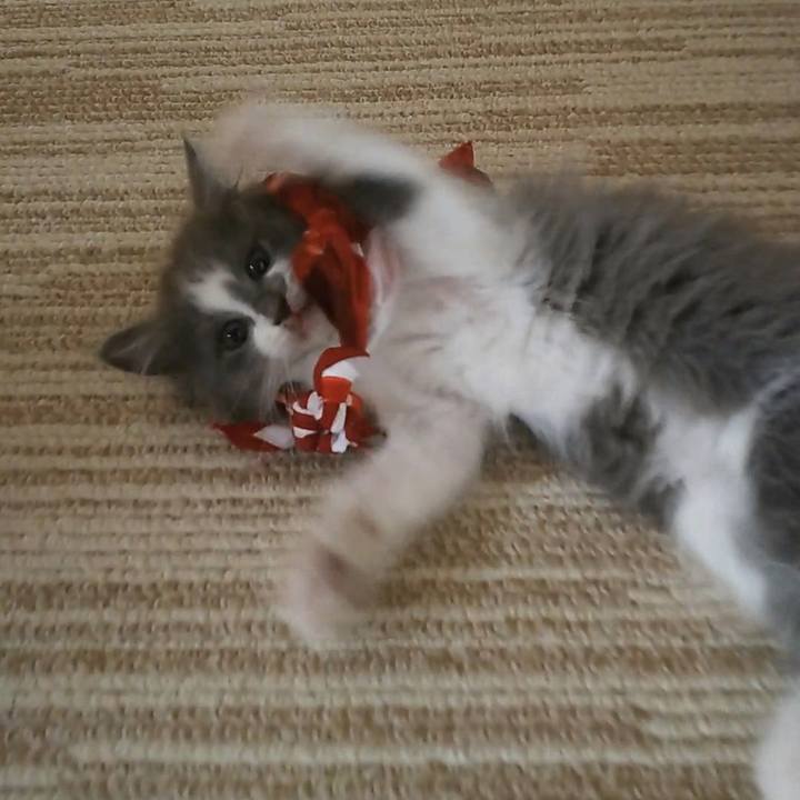 Eedff4b7 440c 4a1f 92c5 b4a5d39abe06 1561088848402