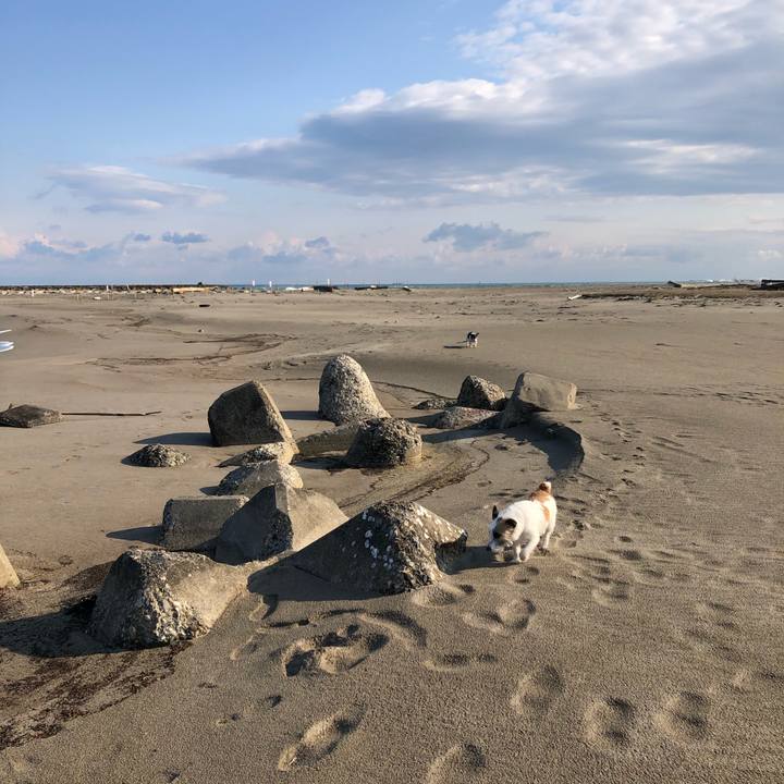 Eedffc6c e834 4c7d a328 5caffc90bfa5 1586389356281