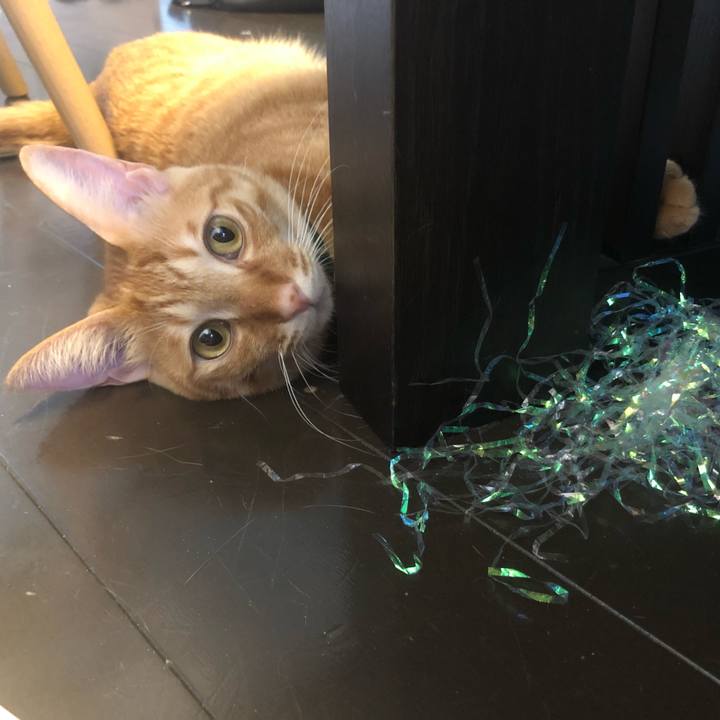 Eee00144 814e 45b6 bbdc 556cc64af5d1 1636840280417