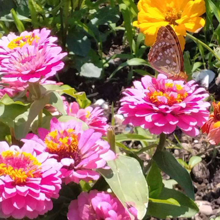 Eee01c28 6ce7 45fe a016 099d8787ce3e 1686970434108