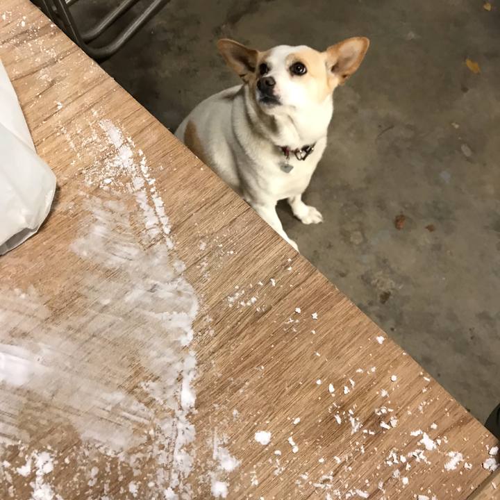 Eee023ff dd05 4d8b 9d1b 088e9ff8d5bd 1640919394388