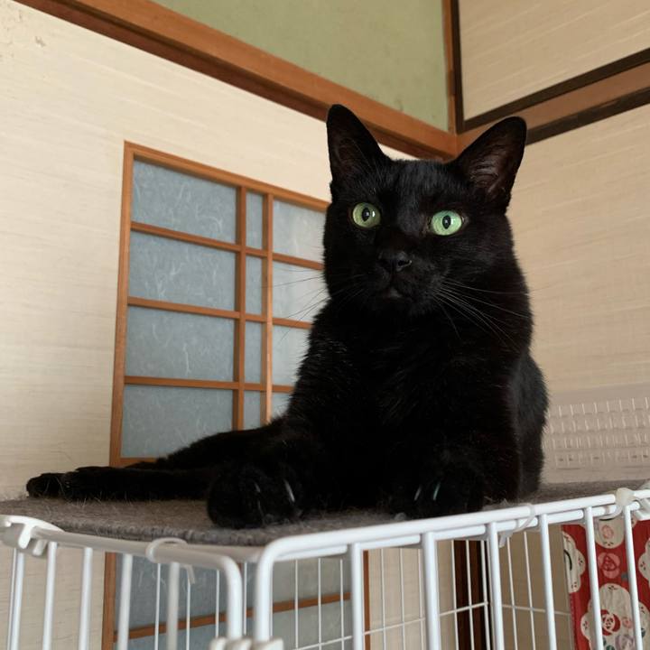 Eee0252d 21f5 471f 93b8 71db8e0772d8 1596157891717