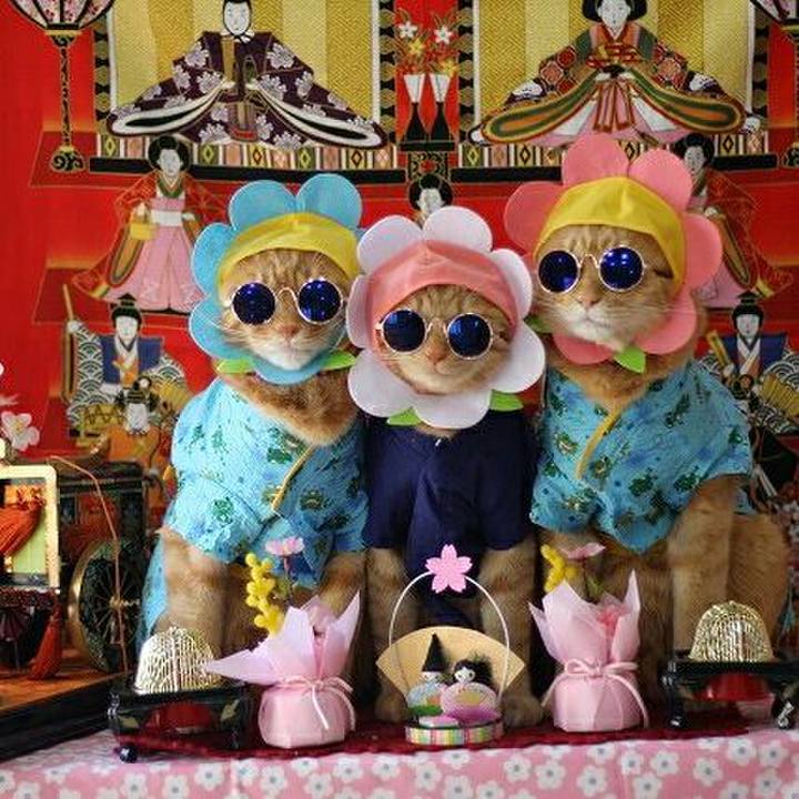 Eee026d6 7cae 4491 92ca c13b407fed7c 1551583141953