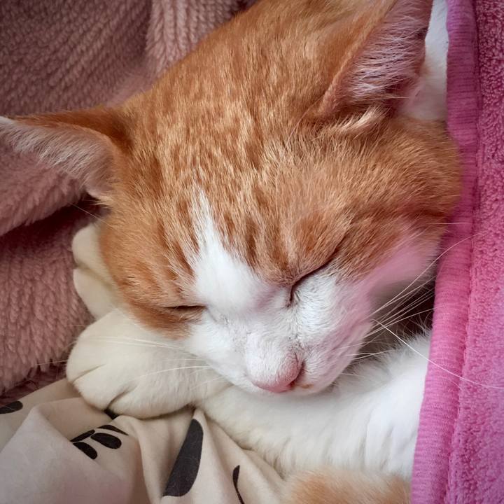 Eee03dfd 7ae5 47b8 ac9c 505e060b831d 1573535920834