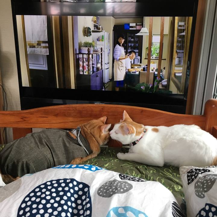 Eee04786 1e64 49e5 8583 564975454921 1530590779412