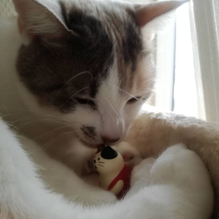 Eee06deb 436d 4a3f a386 586d30a10467 1515110747848