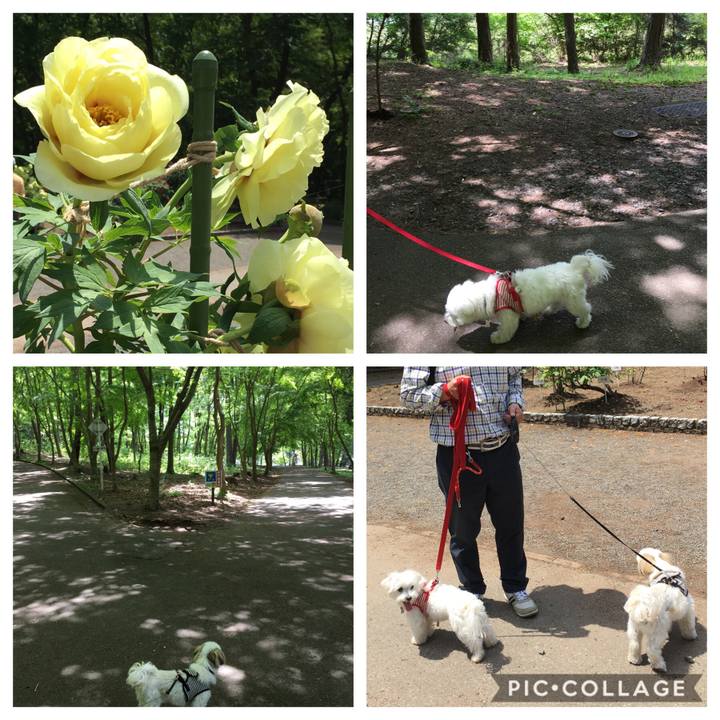 Eee09d91 4f5b 477b bb64 99aa2815cc9b 1557033780692