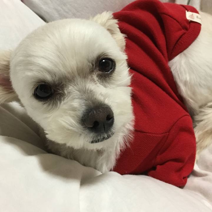 Eee0c5e9 598f 40a3 a4e6 5ef0eca63e5a 1511347802662